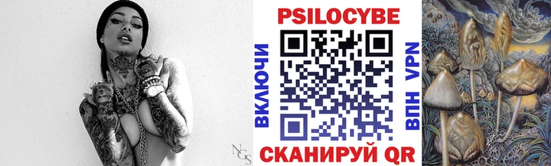 Псилоцибиновые грибы Psilocybine cubensis Белозерск